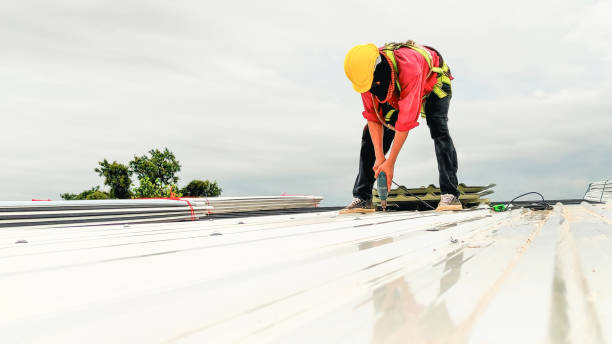 Best Asphalt Shingles Roofing  in Wadena, MN