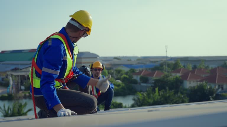 Best Roof Moss and Algae Removal  in Wadena, MN