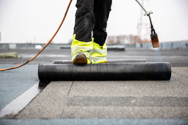 Best Asphalt Shingle Roofing  in Wadena, MN